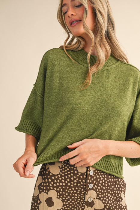 Short Sleeve Crop Sweater