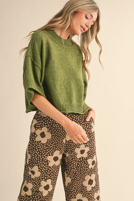 Short Sleeve Crop Sweater