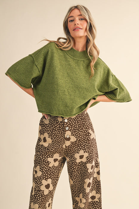 Short Sleeve Crop Sweater