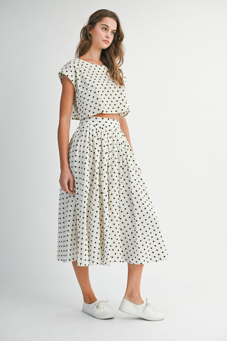 Top and Skirt Set