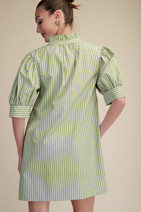 Ruffle V Neck Puff Sleeve Stripe Mini Dress