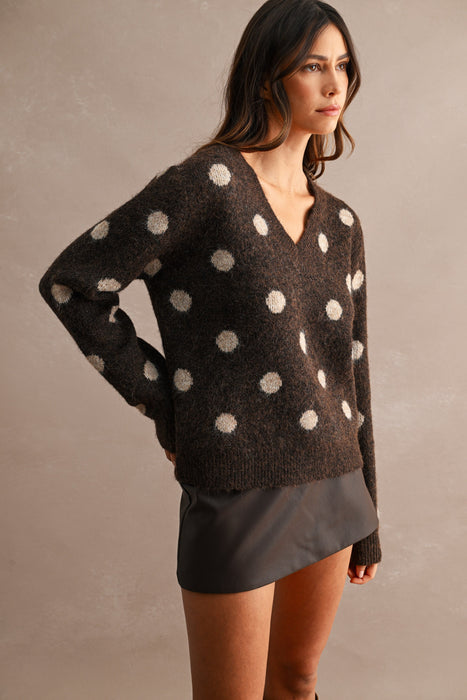 Polka Dot V-Neck Sweater