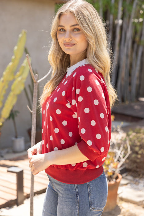 Floral Laced Collar Polkadot Top