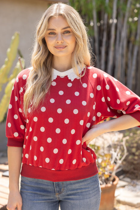 Floral Laced Collar Polkadot Top