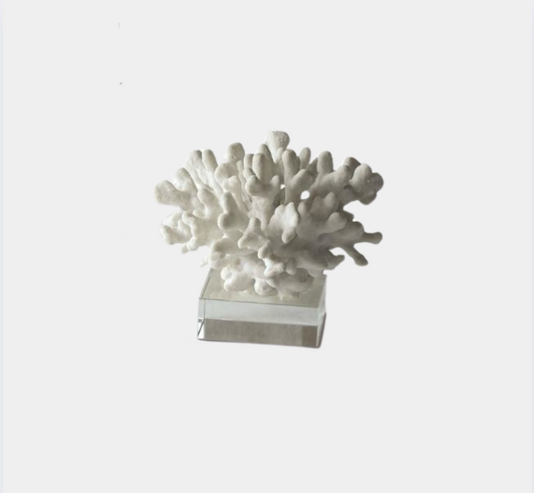 Coral Sculpture Glass Stand LG